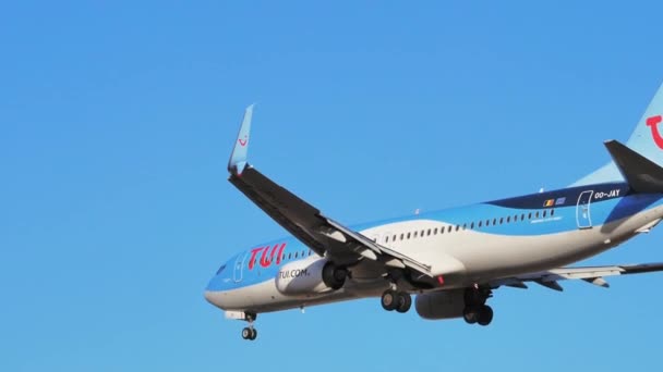 Penumpang Boeing 737 Max Jay Tui Airlines Mendekat Saat Terbang — Stok Video
