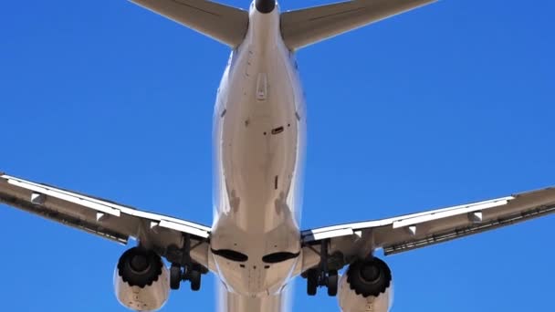 Boeing 737 Max Swb Smartwings Avião Civil Moderno Vista Baixo — Vídeo de Stock