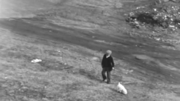Man Enjoys Peaceful Walk His Dog Gently Sloping Grassy Landscape — Stock Video