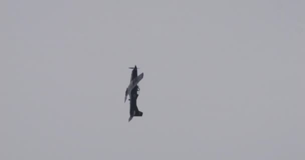 프로펠러 항공기는 일련의 실행하여 예술적으로 상징하는 하늘에 클로버를 그립니다 Pilatus — 비디오