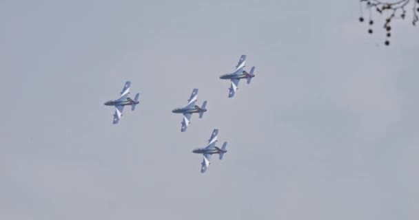 Istrana Italien April 2024 Fyra Akrobatiska Militära Jetplan Tät Formation — Stockvideo