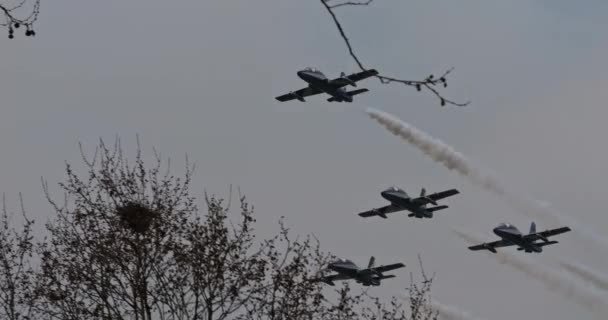 Istrana Italien April 2024 Formation Von Vier Akrobatischen Jets Tiefflug — Stockvideo