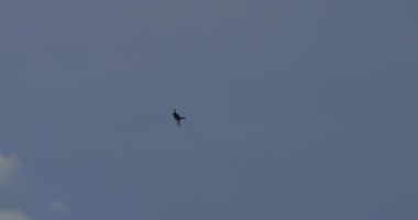 Zagreb Hırvatistan 11 Mayıs 2024: Hırvat Hava Kuvvetleri savaş uçağının Mikoyan MiG-21 Fishbed 'i Soğuk Savaş askeri teknolojisini sergileyerek tepemizde uçuyor. Tarihi belgeseller ve havacılık çalışmaları için ideal. 