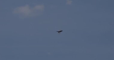 Zagreb Hırvatistan 11 Mayıs 2024: Soğuk Savaş havacılığını temsil eden açık mavi gökyüzünde uçan Sovyet dönemi savaş uçağı. Tarihi belgeseller için mükemmel. Hırvat Hava Kuvvetleri 'nden Mikoyan MiG-21 Balıkyatı.