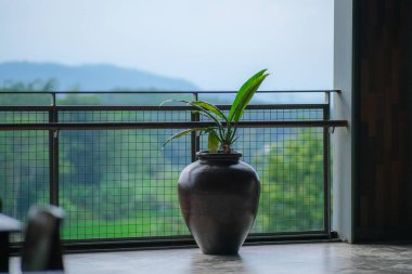 Bir evin balkonunda antika bir seramik vazo.