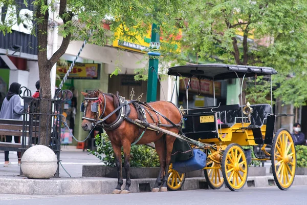 Carruagem Cavalo Tradicional Chamada Andong Estacionada Beira Estrada Icônica Rua — Fotografia de Stock