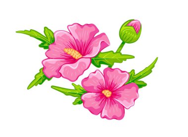 Tropik pembe Hibiscus çiçekleri