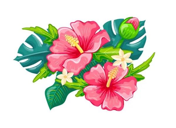 Tropik pembe Hawaii Hibiscus çiçekleri