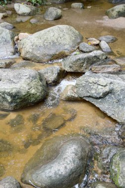 Chonburi Tayland 'daki ormanda harika bir şelale manzarası.