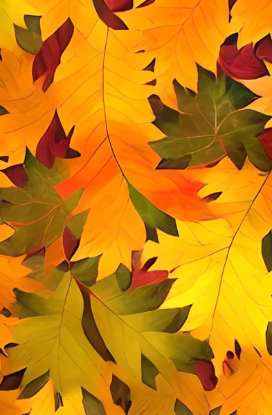 秋天叶背 五彩缤纷的秋天枫叶 — 图库照片