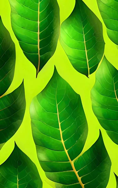 Green Leaves White Background — Stock Photo, Image