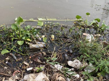 Tayland 'daki kanalda çöp.