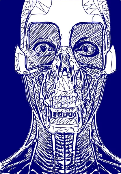 Голубой Белый Череп Скелетом Перекрестками — стоковое фото