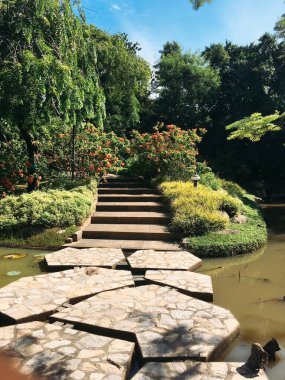 Parktaki güzel bahçe.