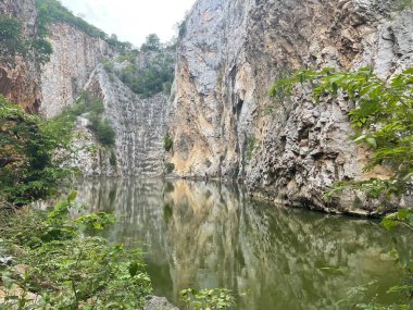 Ormandaki nehrin güzel manzarası