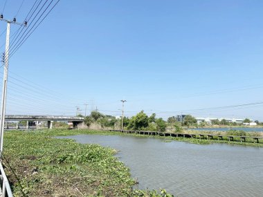 Sabah Chachoengsao Tayland 'da nehir manzarası