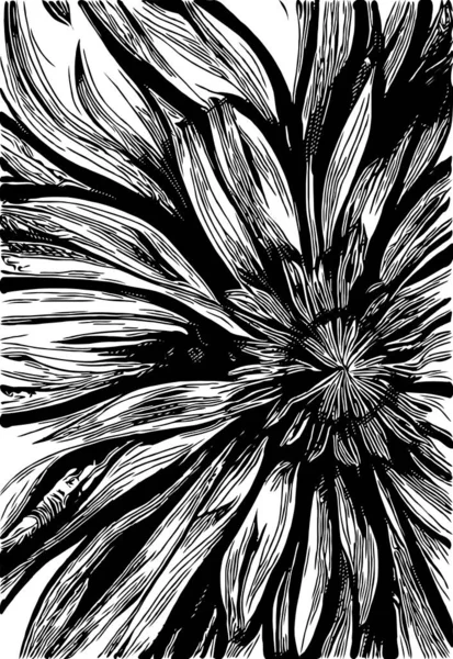 Czarny Biały Wzór Kwiatowy — Zdjęcie stockowe