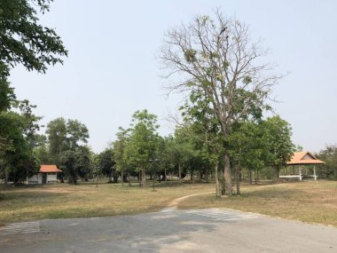 Chonburi Tayland 'daki parkın güzel manzarası.