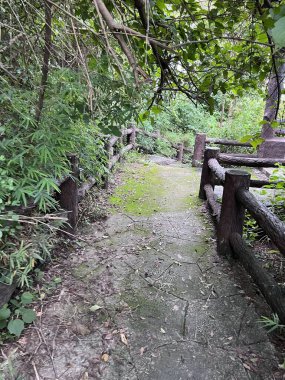 Chonburi Tayland 'daki parkın güzel manzarası.