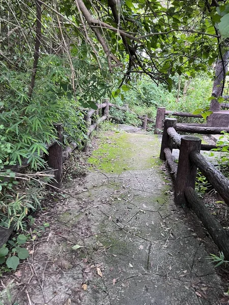 Bella Vista Sul Parco Chonburi Thailandia — Foto Stock