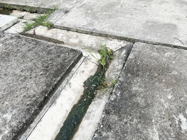 Concrete Floor Puddle Water — ストック写真