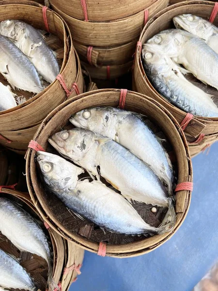 Свежая Рыба Макрель Рынке — стоковое фото
