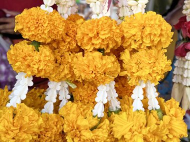 Sarı kadife çiçeği saygı için Buda heykeli