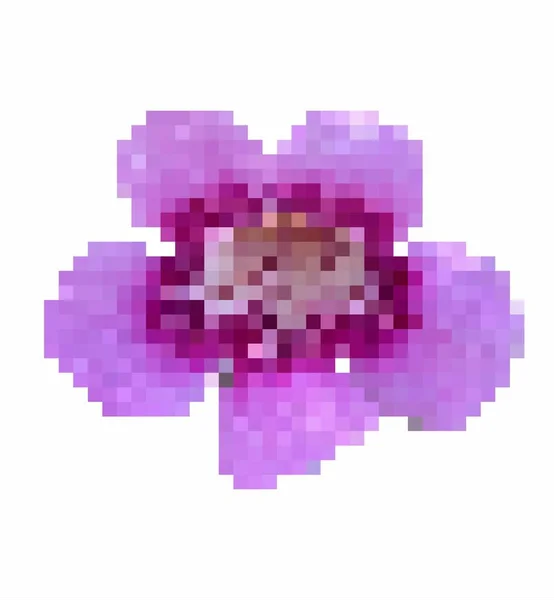 Mor Çiçeğin Piksel Sanatı — Stok fotoğraf