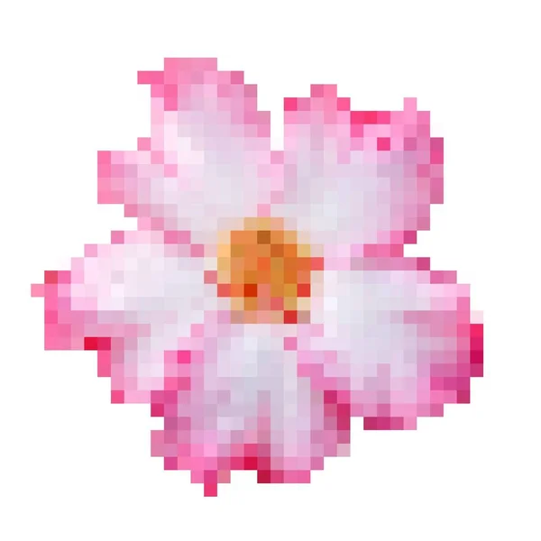 Sztuka Pikseli Kwiat Lilii Impala — Zdjęcie stockowe