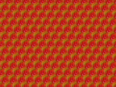 Kırmızı ve beyaz çiçeklerin soyut arkaplanı