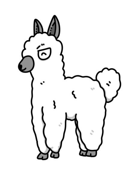 Linda Caricatura Alpaca Sobre Fondo Blanco —  Fotos de Stock