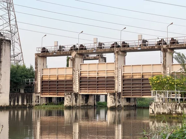 stock image close up dam in country Thailand