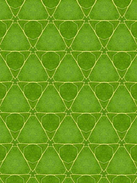 Abstract Green Background Geometric Pattern — Stock Photo, Image