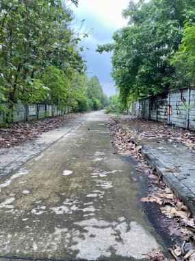 Bangkok Tayland 'daki parktaki yol.