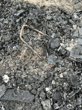 Kömür yığınına yakın.