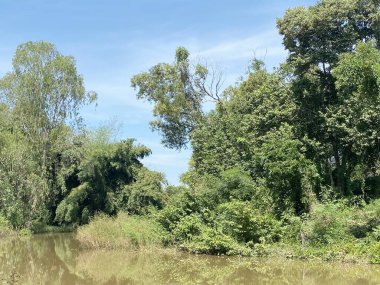 Chachoengsao Tayland 'daki parkın güzel manzarası.