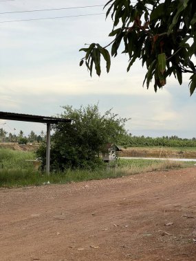Kırsal kesimdeki yol, Chachoengsao Tayland kırsalındaki manzara.