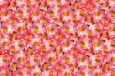 güzel güller çiçek desenli arka plan