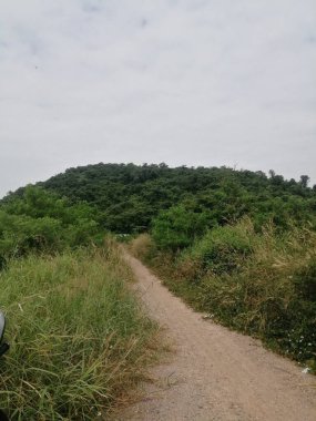 Chonburi Tayland kırsalındaki yol.