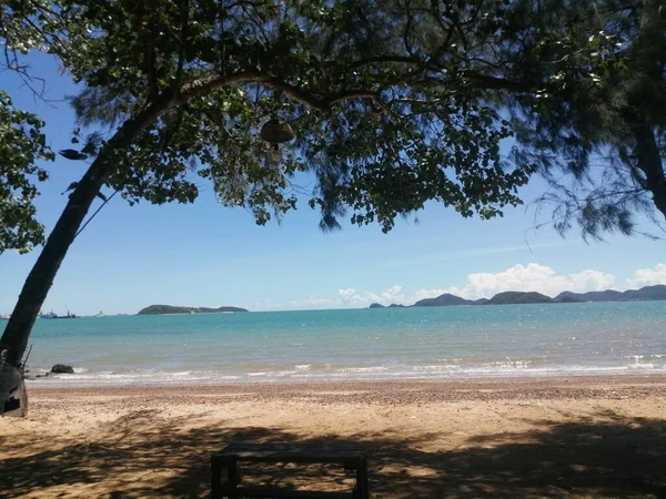 泰国昌布里美丽的海滩 有棕榈树和蓝天 — 图库照片