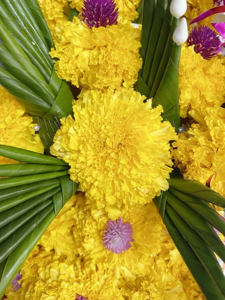 Marigold Flower Nature Garden — Stock Photo, Image
