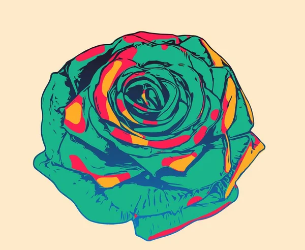 Art Color Rose Flower — Photo