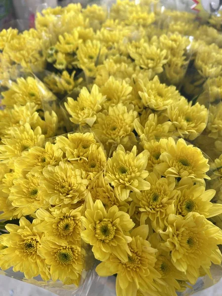 Yellow White Chrysanthemum Flowers Flower Shop — Stock Photo, Image