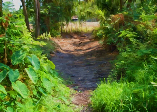 Prachtig Tropisch Landschap Met Groene Bladeren — Stockfoto