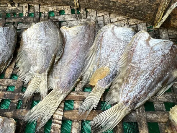 Close Dry Sepat Siam Fish Raw Food Thailand Style — Stock Photo, Image