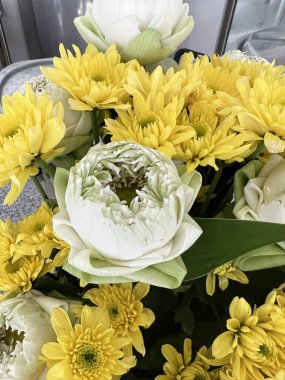 Bahçedeki güzel çiçekler