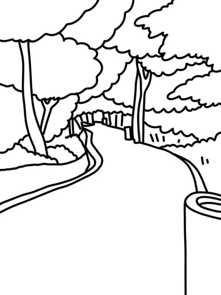 Illustration Cartoon Forest Landscape Coloring — 스톡 사진