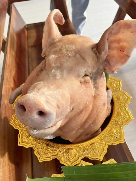 a closeup shot of a pig\'s head