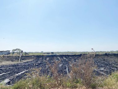 Tayland 'da Chachoengsao' da tarım alanı
