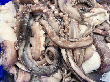 Markette taze kalamar